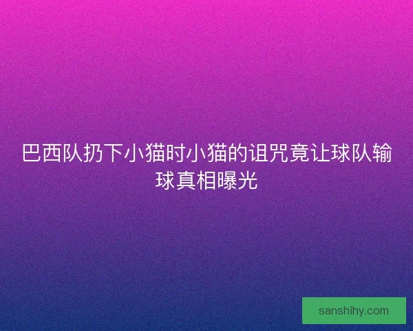 巴西队扔下小猫时小猫的诅咒竟让球队输球真相曝光