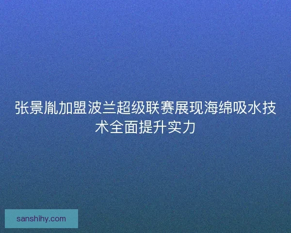 张景胤加盟波兰超级联赛展现海绵吸水技术全面提升实力