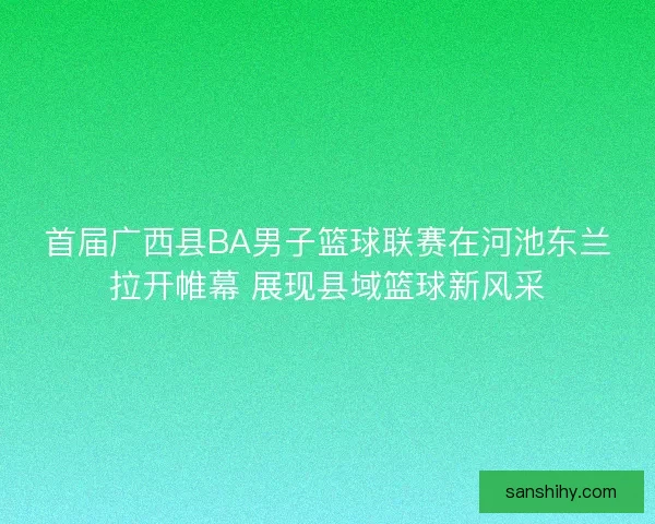 首届广西县BA男子篮球联赛在河池东兰拉开帷幕 展现县域篮球新风采