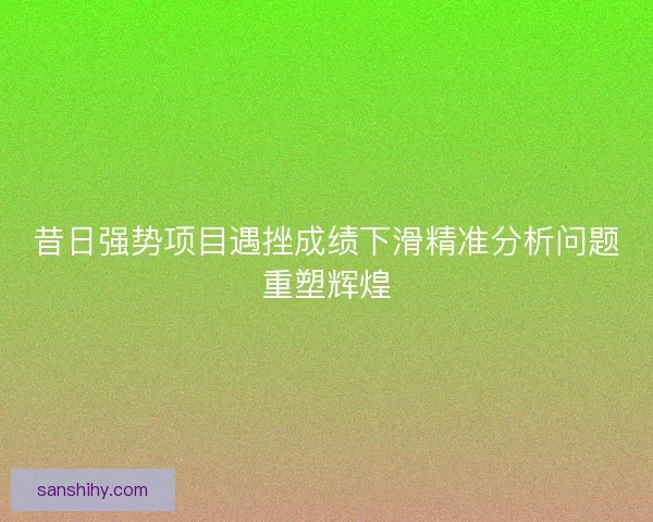昔日强势项目遇挫成绩下滑精准分析问题重塑辉煌