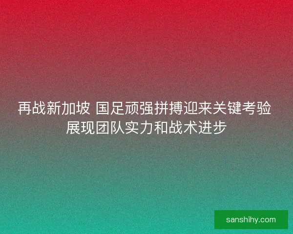 再战新加坡 国足顽强拼搏迎来关键考验 展现团队实力和战术进步