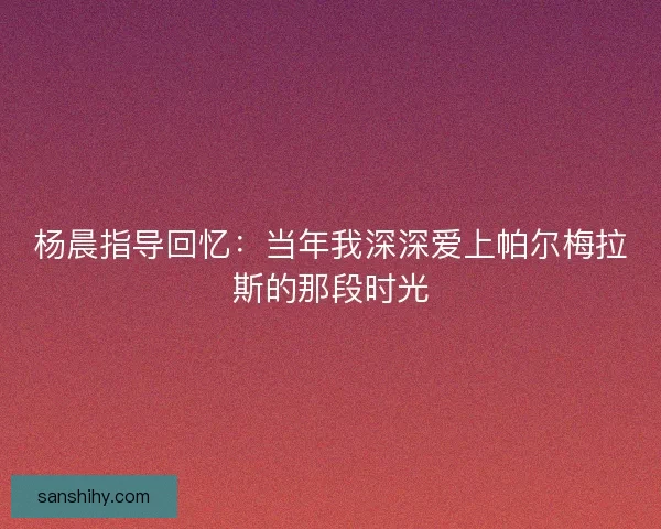 杨晨指导回忆：当年我深深爱上帕尔梅拉斯的那段时光